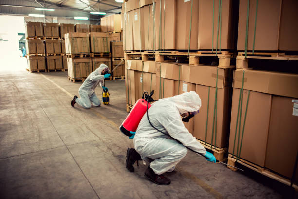 Best Pest Control Near Me  in Wingate, NC