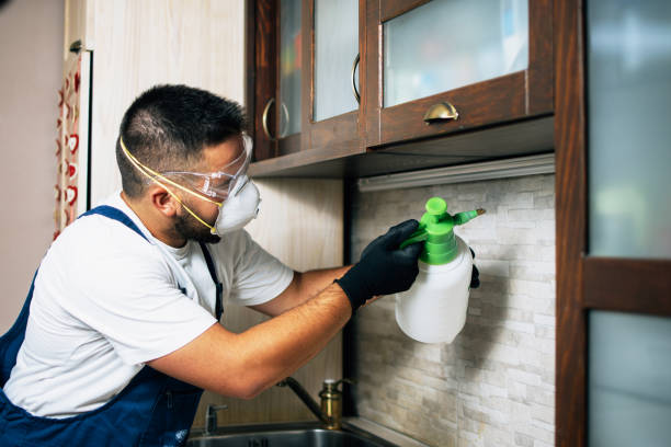Best Local Pest Control Services  in Wingate, NC