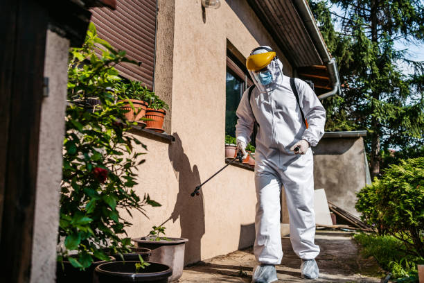 Best Cockroach Control Services  in Wingate, NC