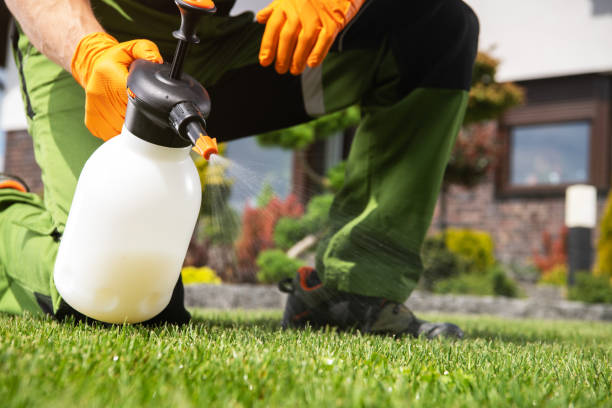 Best Termite Control Services  in Wingate, NC