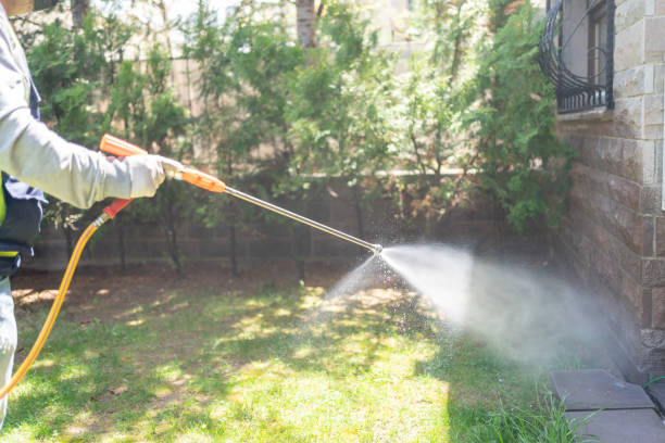 Best Affordable Pest Control Services  in Wingate, NC