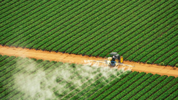 Best Pest Removal Services  in Wingate, NC