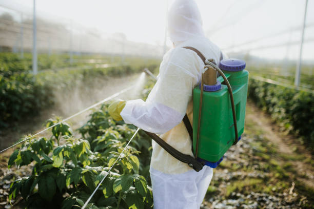 Reliable Wingate, NC Pest Control Solutions